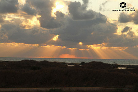 http://www.paliraq.com/images/paliraq2012/sarafand/1%20%2878%29.jpg