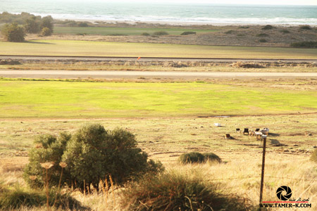 http://www.paliraq.com/images/paliraq2012/sarafand/1%20%288%29.jpg
