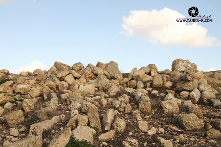 http://www.paliraq.com/images/paliraq2012/sarafand/1%20%289%29.jpg
