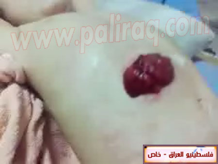 http://www.paliraq.com/images/paliraq2012/zena_jazzar/1.jpg