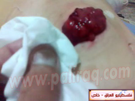 http://www.paliraq.com/images/paliraq2012/zena_jazzar/10.jpg
