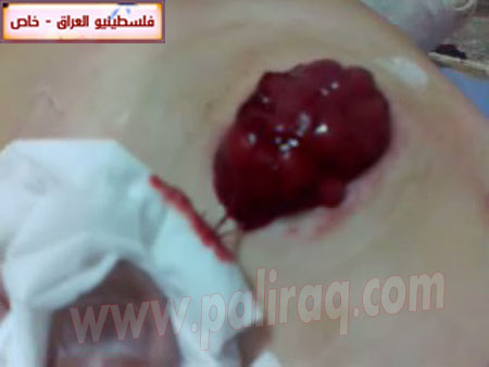 http://www.paliraq.com/images/paliraq2012/zena_jazzar/12.jpg
