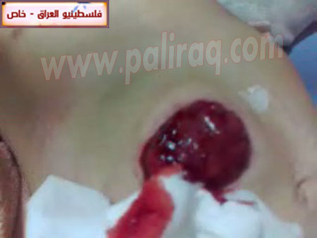 http://www.paliraq.com/images/paliraq2012/zena_jazzar/15.jpg