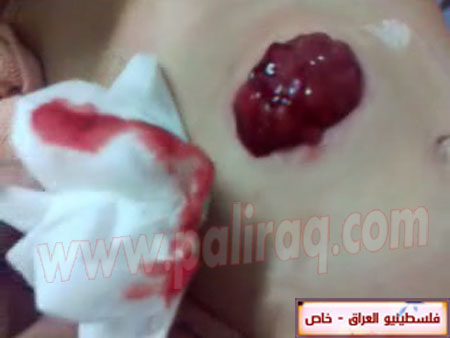 http://www.paliraq.com/images/paliraq2012/zena_jazzar/16.jpg