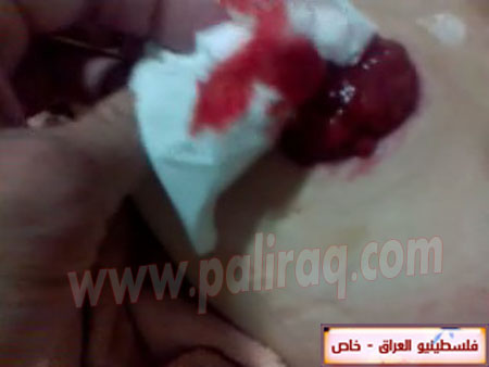 http://www.paliraq.com/images/paliraq2012/zena_jazzar/19.jpg