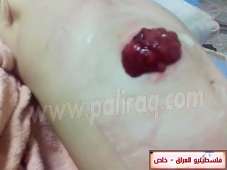 http://www.paliraq.com/images/paliraq2012/zena_jazzar/2.jpg