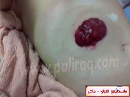 http://www.paliraq.com/images/paliraq2012/zena_jazzar/20.jpg