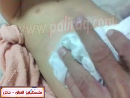 http://www.paliraq.com/images/paliraq2012/zena_jazzar/21.jpg
