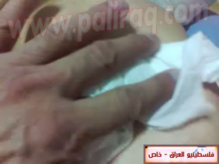 http://www.paliraq.com/images/paliraq2012/zena_jazzar/22.jpg
