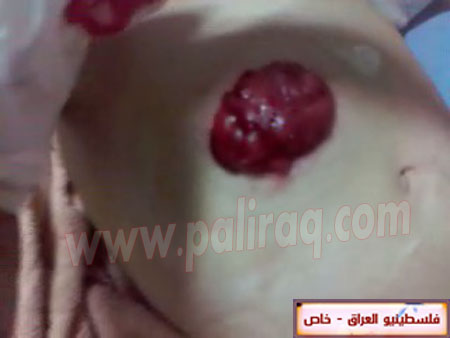 http://www.paliraq.com/images/paliraq2012/zena_jazzar/23.jpg