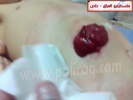 http://www.paliraq.com/images/paliraq2012/zena_jazzar/4.jpg