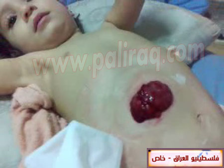 http://www.paliraq.com/images/paliraq2012/zena_jazzar/6.jpg