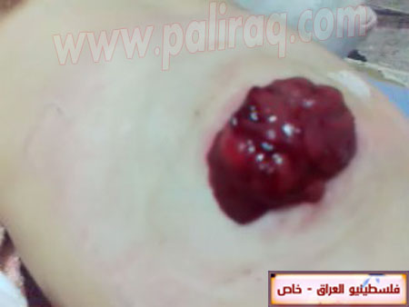 http://www.paliraq.com/images/paliraq2012/zena_jazzar/8.jpg