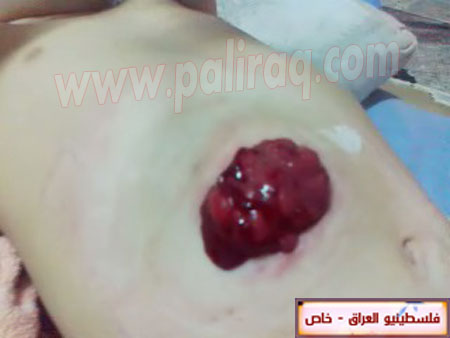 http://www.paliraq.com/images/paliraq2012/zena_jazzar/9.jpg