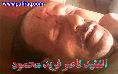 الفقيد ناصر فريد محمود