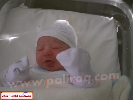 http://www.paliraq.com/images/weladaat/a_mjd/PICT0021.jpg
