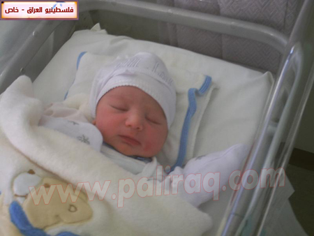 http://www.paliraq.com/images/weladaat/a_mjd/PICT0023.jpg