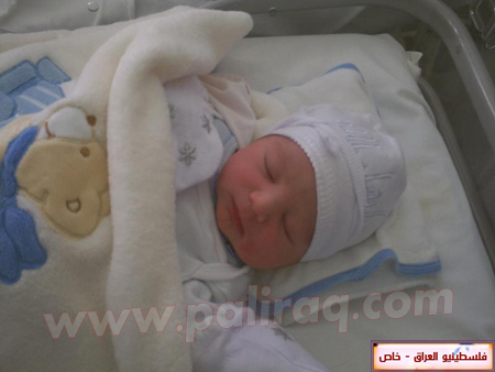 http://www.paliraq.com/images/weladaat/a_mjd/PICT0024.jpg