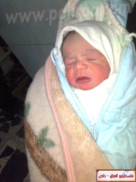 http://www.paliraq.com/images/weladaat/aasesan/a%20%285%29.jpg