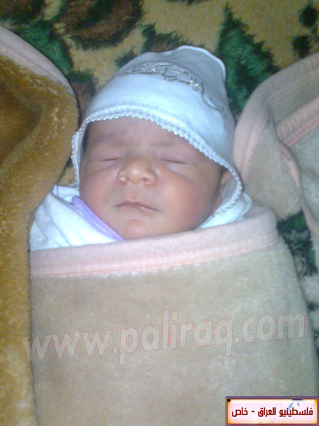 http://www.paliraq.com/images/weladaat/aasesan/a%20%289%29.jpg