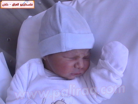 http://www.paliraq.com/images/weladaat/adam_hussam_alasad/PIC_1497.JPG