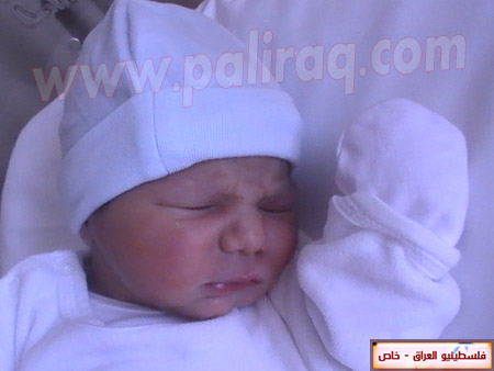http://www.paliraq.com/images/weladaat/adam_hussam_alasad/PIC_1500.JPG