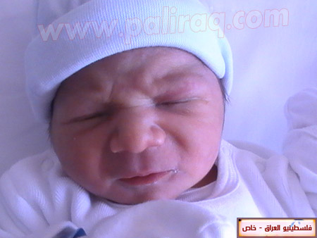 http://www.paliraq.com/images/weladaat/adam_hussam_alasad/PIC_1516.JPG