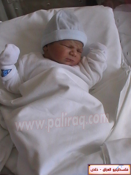http://www.paliraq.com/images/weladaat/adam_hussam_alasad/PIC_1526.JPG
