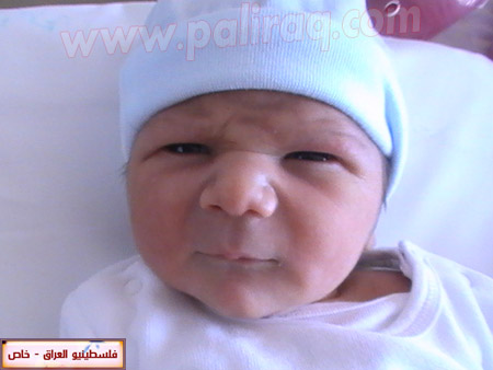 http://www.paliraq.com/images/weladaat/adam_hussam_alasad/PIC_1567.JPG