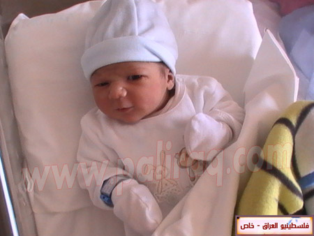 http://www.paliraq.com/images/weladaat/adam_hussam_alasad/PIC_1592.JPG