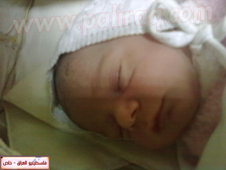 http://www.paliraq.com/images/weladaat/alihusamshawahney/01032012025.jpg
