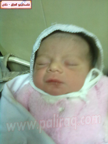 http://www.paliraq.com/images/weladaat/alihusamshawahney/01032012026.jpg