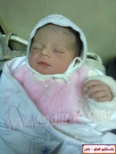 http://www.paliraq.com/images/weladaat/alihusamshawahney/01032012027.jpg