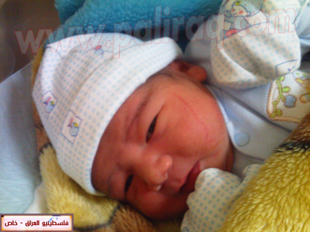 http://www.paliraq.com/images/weladaat/ayhamfanoosbirth/IMG393.jpg