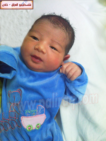 http://www.paliraq.com/images/weladaat/ayhamfanoosbirth/IMG404.jpg