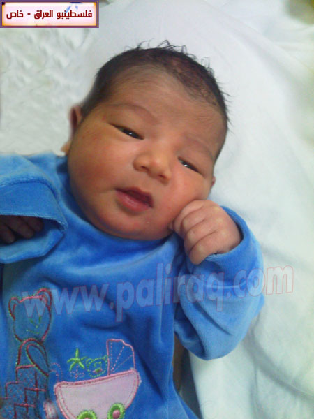 http://www.paliraq.com/images/weladaat/ayhamfanoosbirth/IMG405.jpg