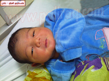 http://www.paliraq.com/images/weladaat/ayhamfanoosbirth/IMG406.jpg