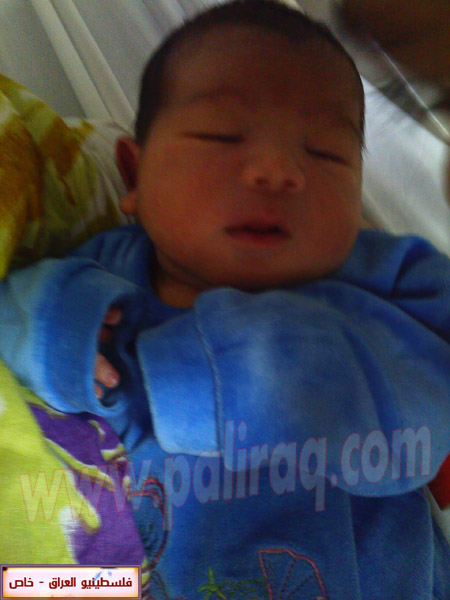 http://www.paliraq.com/images/weladaat/ayhamfanoosbirth/IMG407.jpg