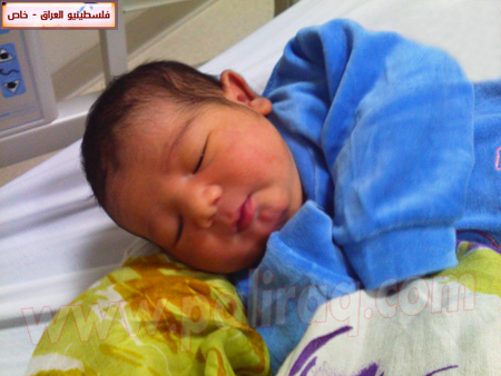 http://www.paliraq.com/images/weladaat/ayhamfanoosbirth/IMG412.jpg