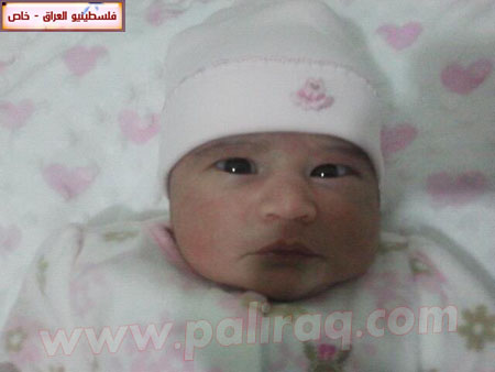 http://www.paliraq.com/images/weladaat/doazawy/a%20%281%29.jpg