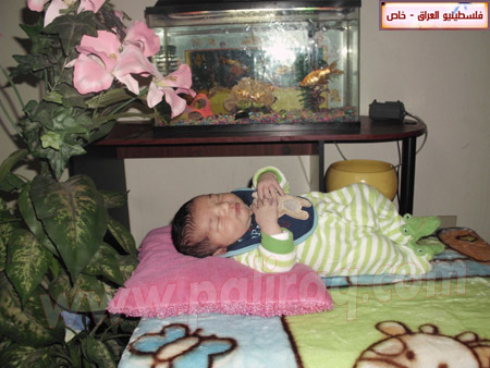 http://www.paliraq.com/images/weladaat/fathi_dawaimeh/Picture%20453.jpg