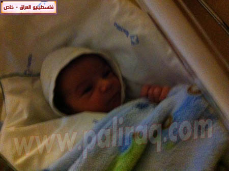http://www.paliraq.com/images/weladaat/jokokes/IMG_0204.jpg