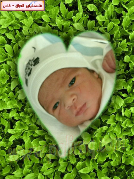 http://www.paliraq.com/images/weladaat/m.mkshr/a%20%281%29.jpg