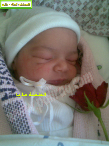 http://www.paliraq.com/images/weladaat/mariya-maher01.jpg