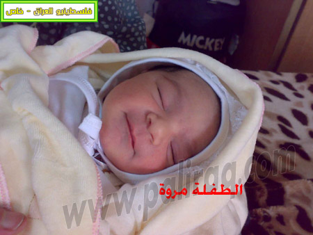 http://www.paliraq.com/images/weladaat/marwah-omer01.jpg