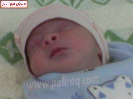 http://www.paliraq.com/images/weladaat/mtsood/a%20%282%29.jpg