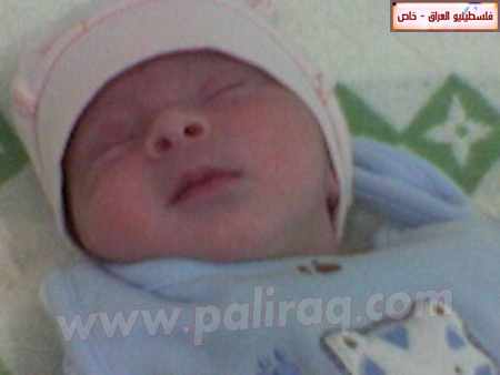 http://www.paliraq.com/images/weladaat/mtsood/a%20%283%29.jpg