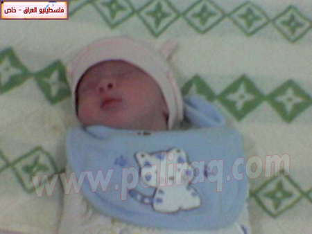 http://www.paliraq.com/images/weladaat/mtsood/a%20%284%29.jpg