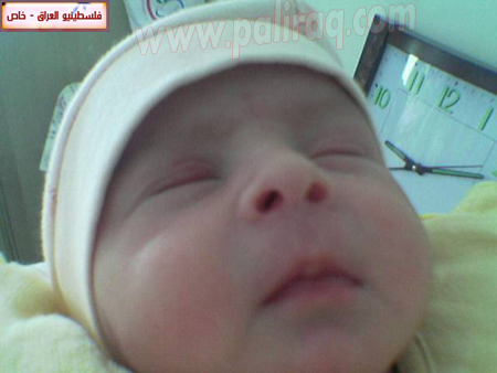 http://www.paliraq.com/images/weladaat/mtsood/a%20%286%29.jpg