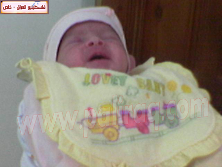 http://www.paliraq.com/images/weladaat/mtsood/a%20%288%29.jpg